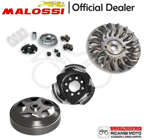 Kit malossi variatore frizione - malossi,